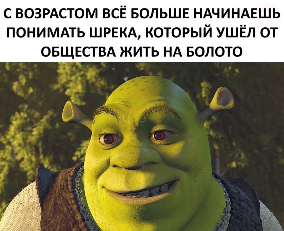 Вы сами портите девушек нагиев текст. Настроение цитаты. Привет мы знакомы. Твоей нова нова девушке я буду портить. Цитаты происпорченые отношения.