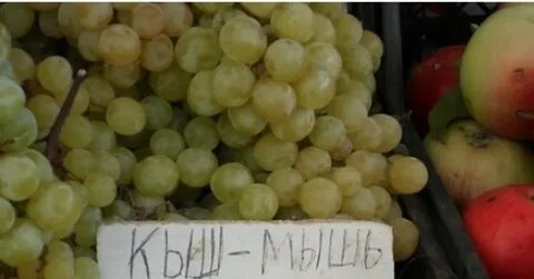 Безумыш