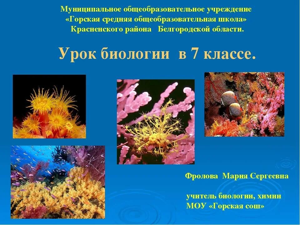 Значение кишечнополостных 7. Представители кишечнополостных 7 класс. разнообразие кишечнополостных 7 класс. биология 7 класс разнообразие кишечнополостных. многообразие кишечнополостных 7 класс биология.