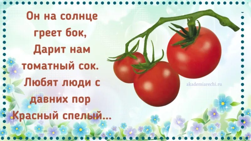 6 загадок про овощи. Загадка про помидор для детей. Загадка про томат для детей. Загадка про помидор. Загадки о помидоре для дошкольников.