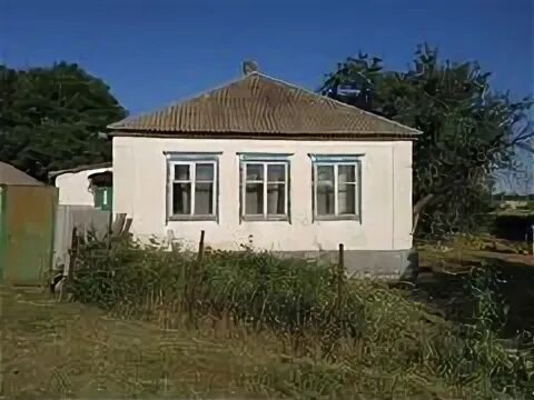 Селе лысогорка