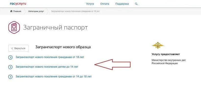 Как оплатить госпошлину за паспорт: разбираем варианты LET’S DO IT Дзен