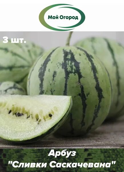 "Watermelon on a plate white ." - image created in Shedevrum