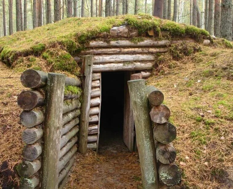 Около жилищ