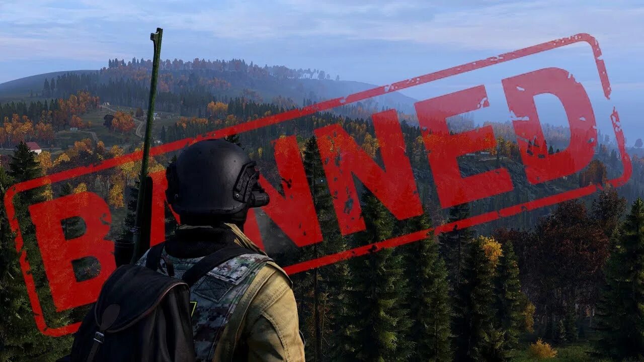 Global ban. Дейз. DAYZ картинки. Дейз Banov. Банов DAYZ.