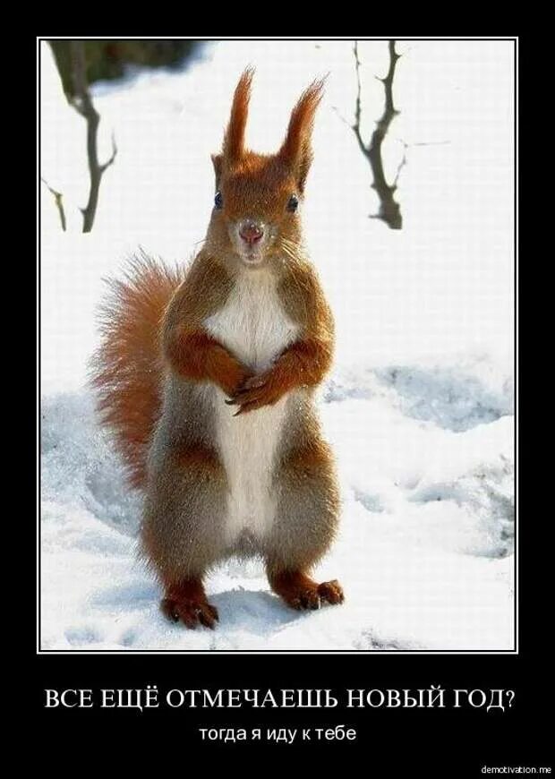 Добби свободен отпуск. Давай пей тогда. Что будете пить мадам настойку. Шутки про шашки. Давай пей тогда.