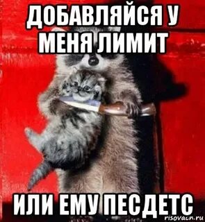 Скинь деньги пушистик