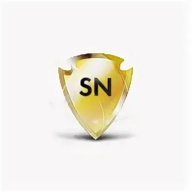 1 secret net. Secret net studio логотип. секрет нет значок. secret net lsp логотип.
