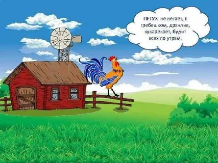 Петух утром кукарекает