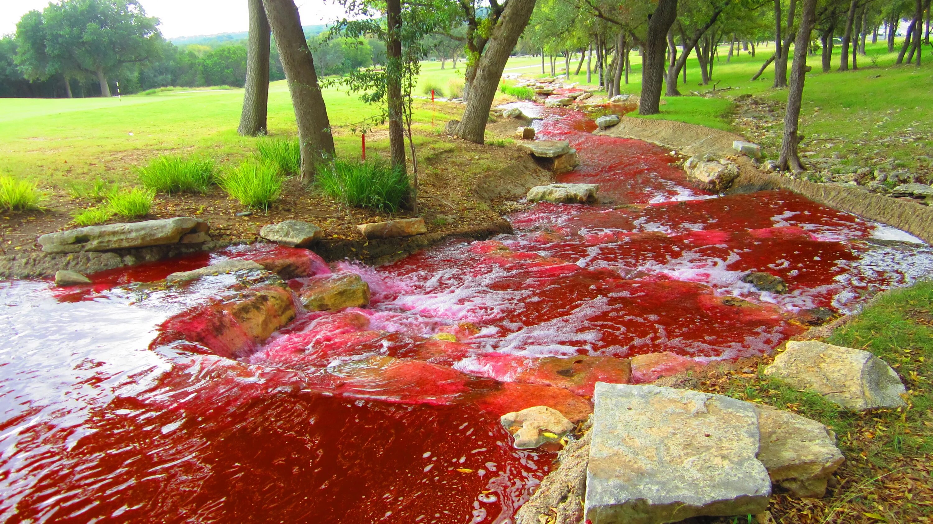 The blood river. The blood river. The blood river. Кровавое красное озеро. Кровавый лес.