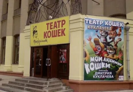 Куклачев кутузовский проспект