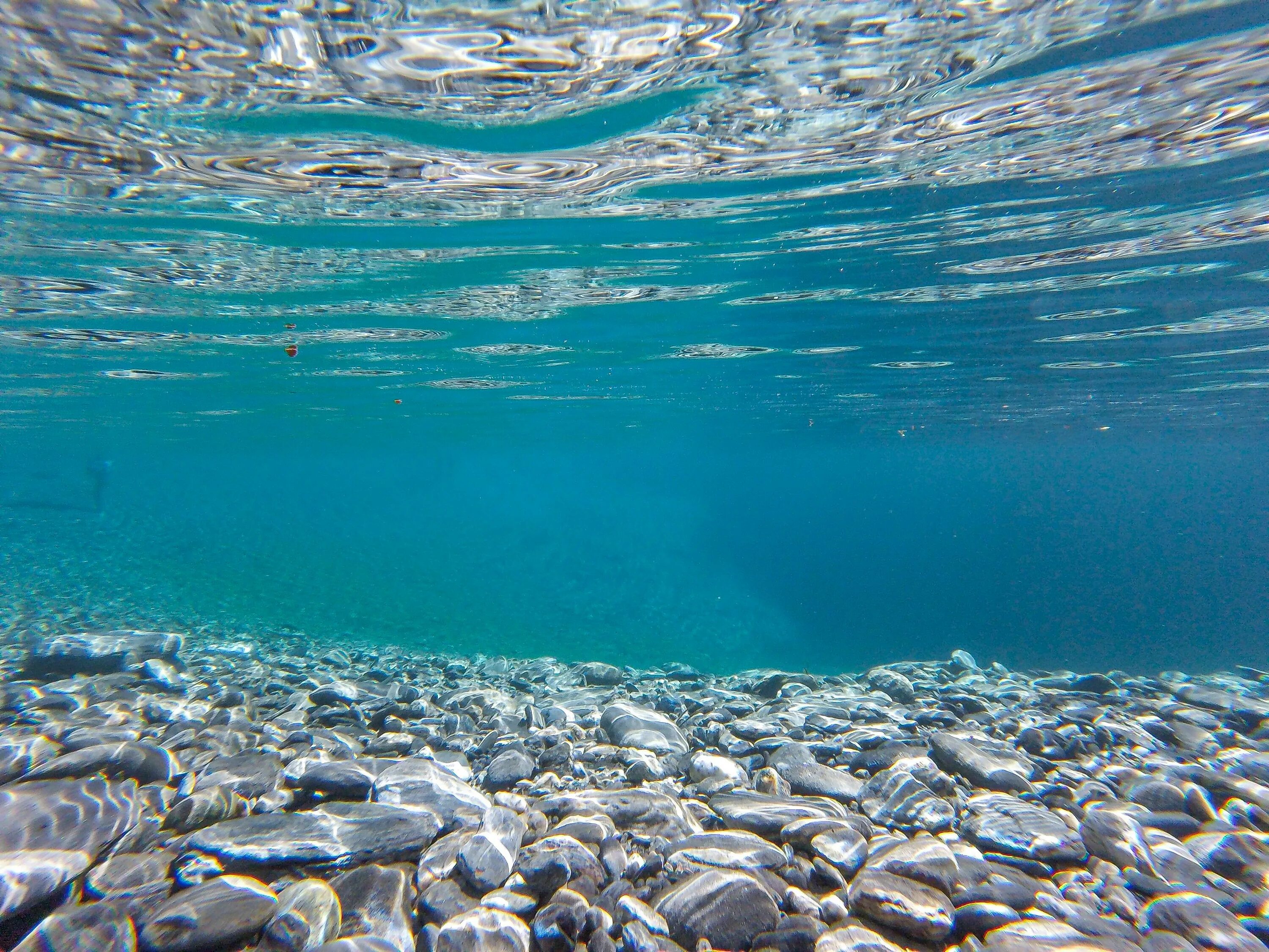 Кристальное море. Море вода. Прозрачное море. Дно моря. Морское дно.