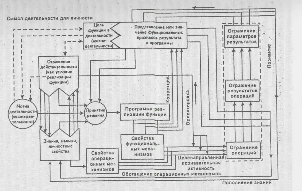 Деятельность это система навыков