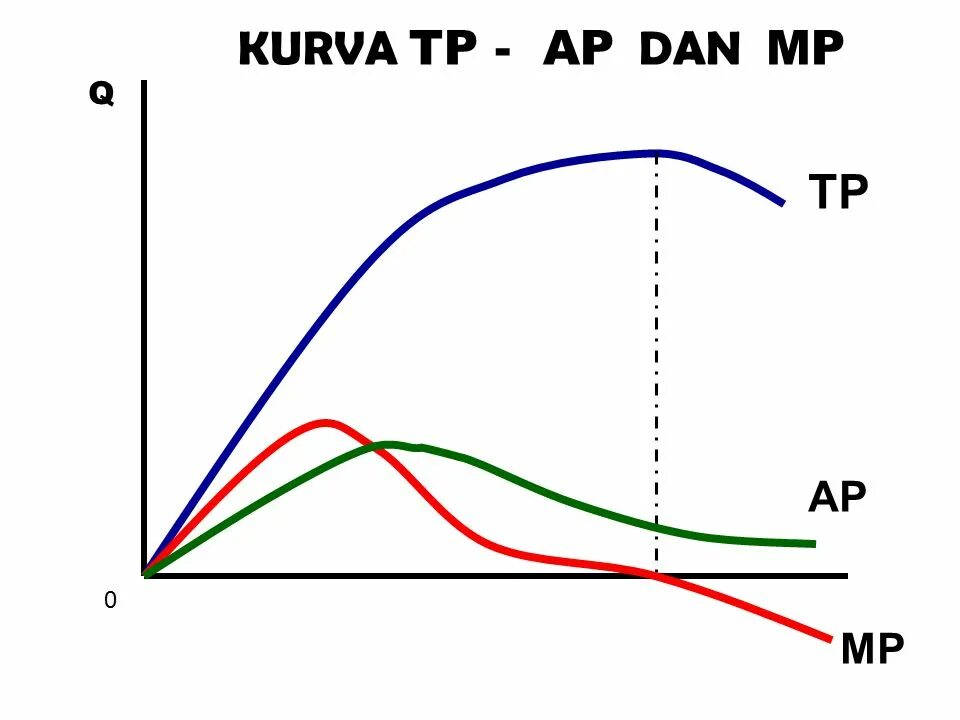 Ap tp