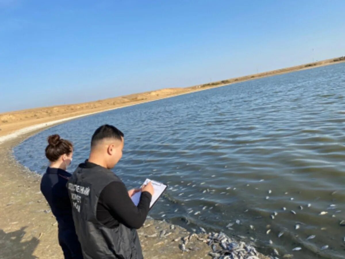 Глава бабаюртовского района даниял пашаевич. Прокурор лаганского района республики калмыкия. Элиста криминал. Герменчик бабаюртовский район. Начальник управления ветеринарии республики калмыкия.