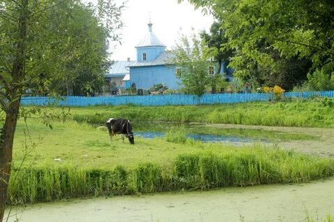 Фото турова