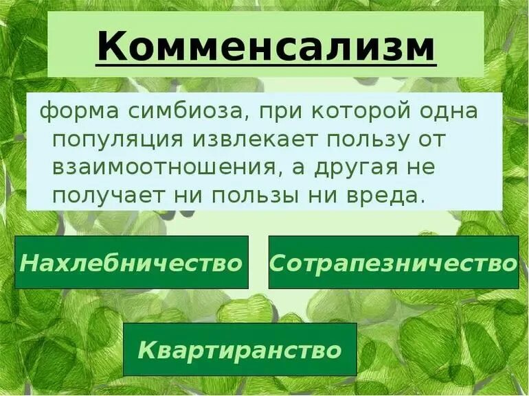 Взаимодействие популяций. Взаимодействие особей в популяции. Комменсализм подвиды. Определенное сожительство популяций разных видов. Типы биотических взаимодействий таблица.
