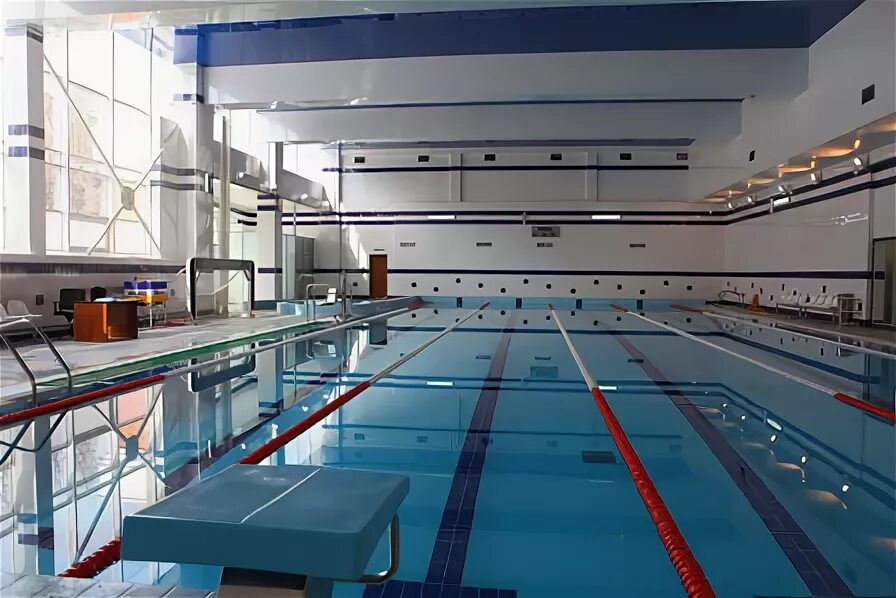 бассейн мгу. летний бассейн. фок раменки бассейн.