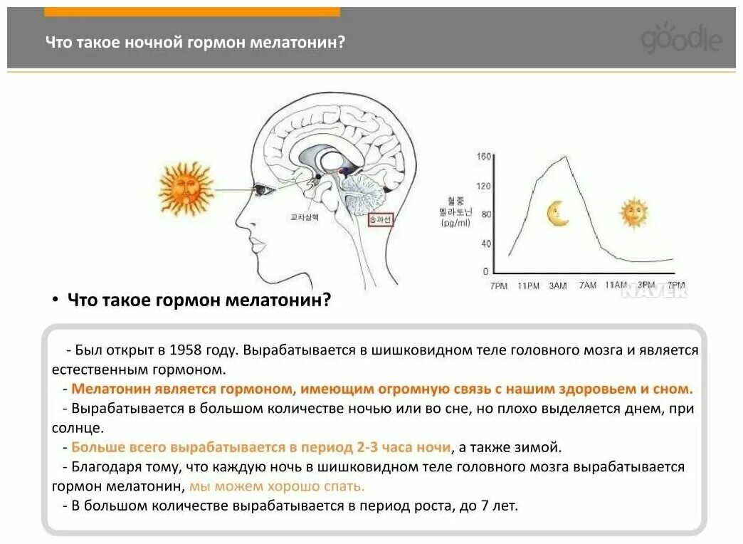 мелатонин часы выработки гормона. выработка гормона мелатонина. гормон сна. когда вырабатывается мелатонин в организме. мелатонин гормон сна.