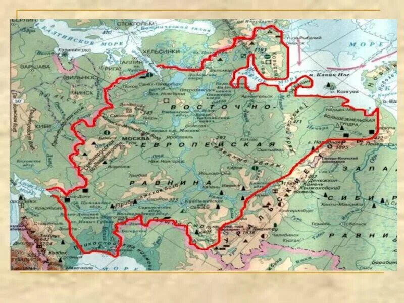 В каких странах находится восточно европейская равнина. Восточно европейская русская равнина на карте. Границы Восточно европейской равнины на контурной карте. Восточно-европейская низменность на карте России. Географическая карта России Восточно европейская равнина.