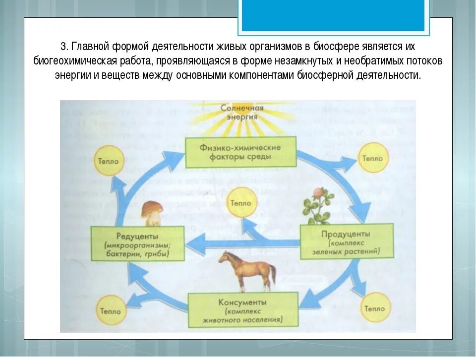 Основные источники энергии для организма тест. Основные источники энергии для организма тест
