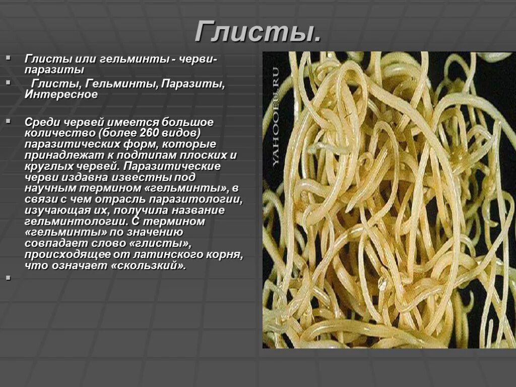 Строение внутренних паразитов. Черви паразиты круглые черви. Черви паразиты Острица. Паразитьисеские куртгые чепрв. Паразитические плоские и круглые черви.