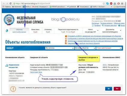 Покупки в налоговом кабинете