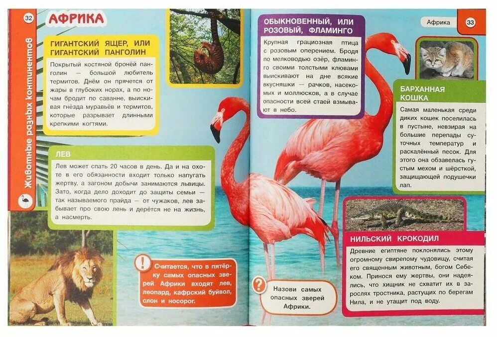 энциклопедия хочу все знать животные. животные россии. хочу все знать животные. энциклопедия. животные россии.