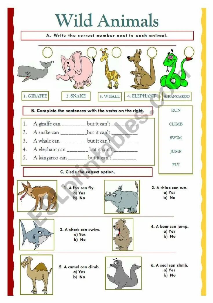 Be have got can with animals. Wild animals worksheets. wild animals can worksheet. animals can worksheets. wild animals exercises.