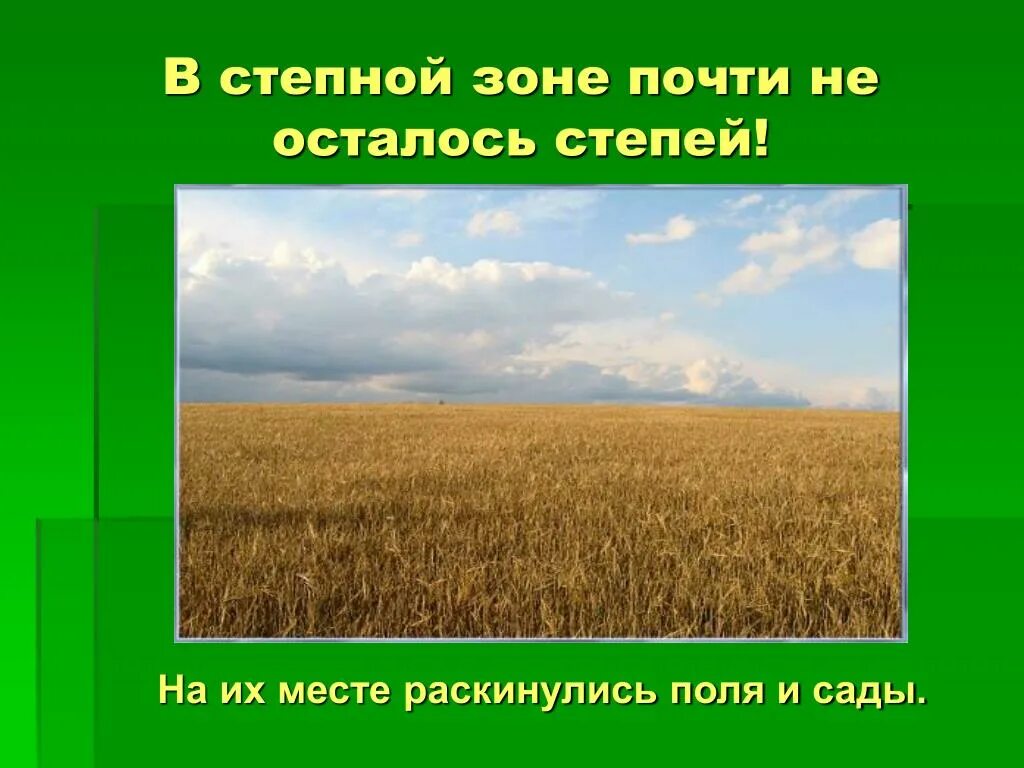 Какие природные зоны есть в степи