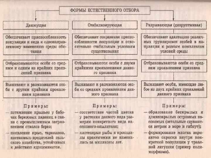 Борьба за существование естественный отбор и их формы