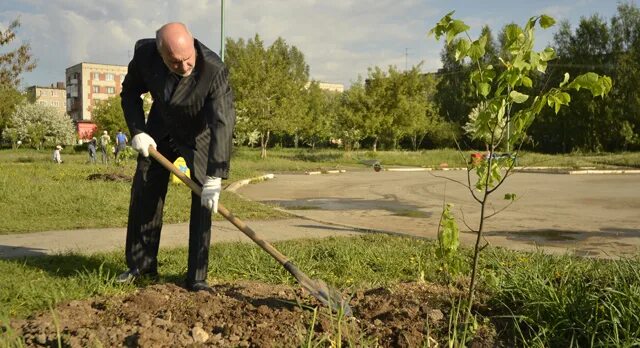 Дедушка посадил дерево 54 года