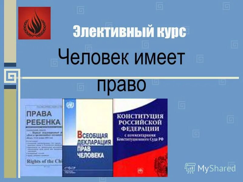 Что такое элективные курсы в школе. Элективный курс как оценивается. Человек и здоровье курс для детей. Вопросы географии электив. Элективные курсы.