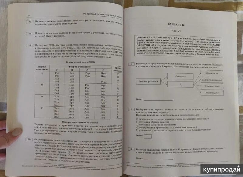 Биология ЕГЭ ответы. Ответы ЕГЭ по биологии. Вариант ЕГЭ по биологии. Варианты ЕГЭ биология.