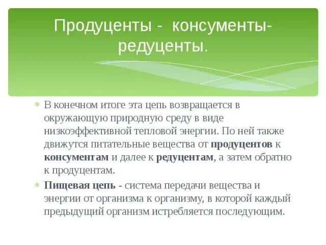 Функции редуцентов. Функции продуцентов консументов и редуцентов. Продуценты консументы и редуценты это. Роль продуцентов в квартире.