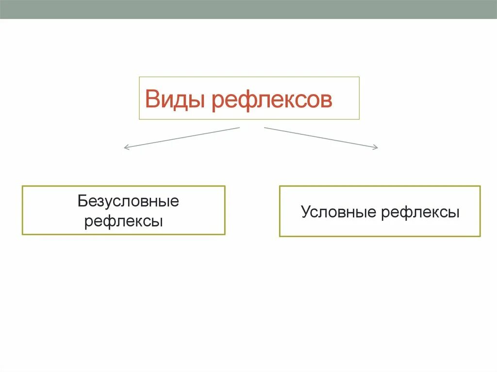 Виды рефлексов. Виды рефлексов схема. Виды условных рефлексов. Виды рефлексов схема 6 класс.