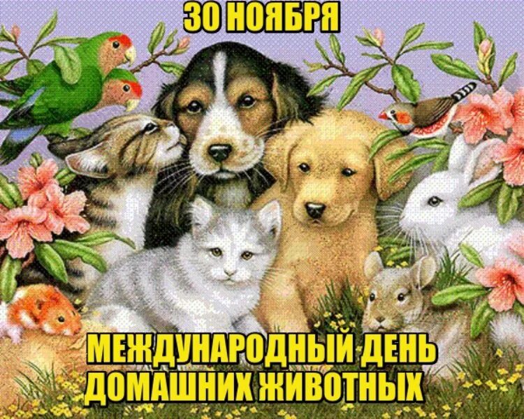 30 ноября день животных. День домашних животных 30 ноября картинки. День домашних животных 2021 в России. Всемирный день домашних животных мы в ответе за тех кого приручили. День домашних животных 2021 в России 11 апреля.