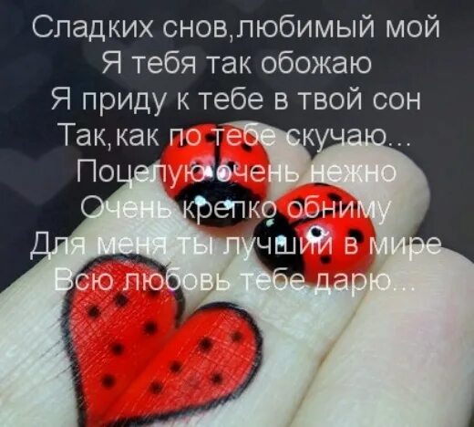 самая любимая девочка. я тебя очень сильно люблю. песня я так обожаю. красивые открытки для любимого. песня я так обожаю.