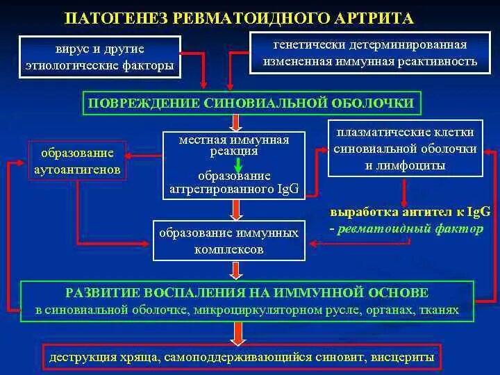 Этиология и патогенез ревматоидного артрита схема. Ревматический артрит этиология. Ревматоидный артрит механизм развития. Ревматоидный артрит иммунология этиология и патогенез.