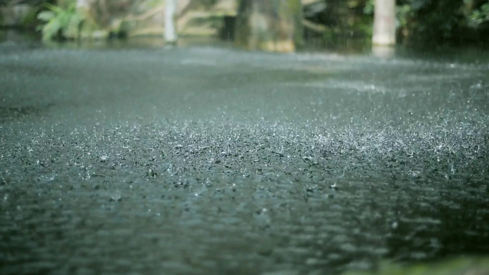 F rain. Ливень. Дождь на земле. Капли дождя на асфальте. Капли дождя на земле.