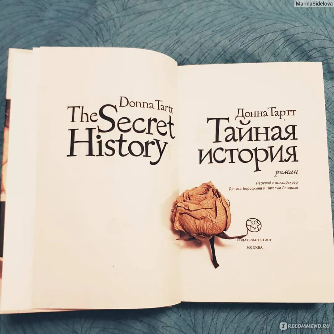 Тайная история Донна Тартт герои. Таинственная история Донна Тартт. Донна тарт Тайная история. Тайная история Донна Тартт книга. Читать тартт тайная