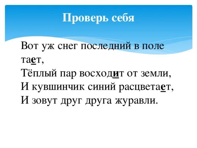 Теплый пар восходит от земли