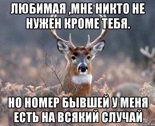 Мне никто не нужен. Мне никто не нужен кроме тебя. Мне никто не нужен кроме тебя любимый. У меня нет никого кроме тебя. Люблю тебя и никому не нужен