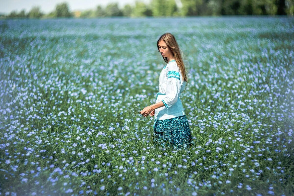 Цветущие поля льна. Девушка в поле. Фотосессия в поле. Льняное поле.