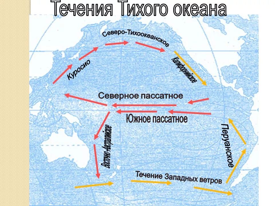 Назовите теплые течения атлантического океана. Северное пассатное течение в Атлантическом океане. Куросио, Южное пассатное , Гольфстрим. Северное пассатное течение на карте. Теплое и Холодное течение Тихого океана.