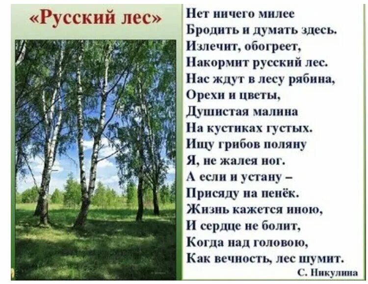 Стих о природе 16 строк. Стихи о русском лесе. Стихи о лесах. Стихи про леса. Стихотворение русский Лис.