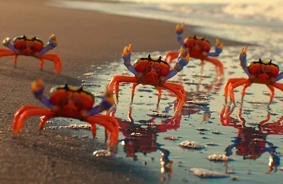 крабики танцуют на пляже. танец краба. крабики танцуют на пляже. краб из crab rave. краб вейв.