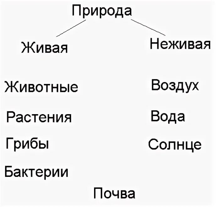 Переход от неживого к живому. Живая и неживая природа задания.