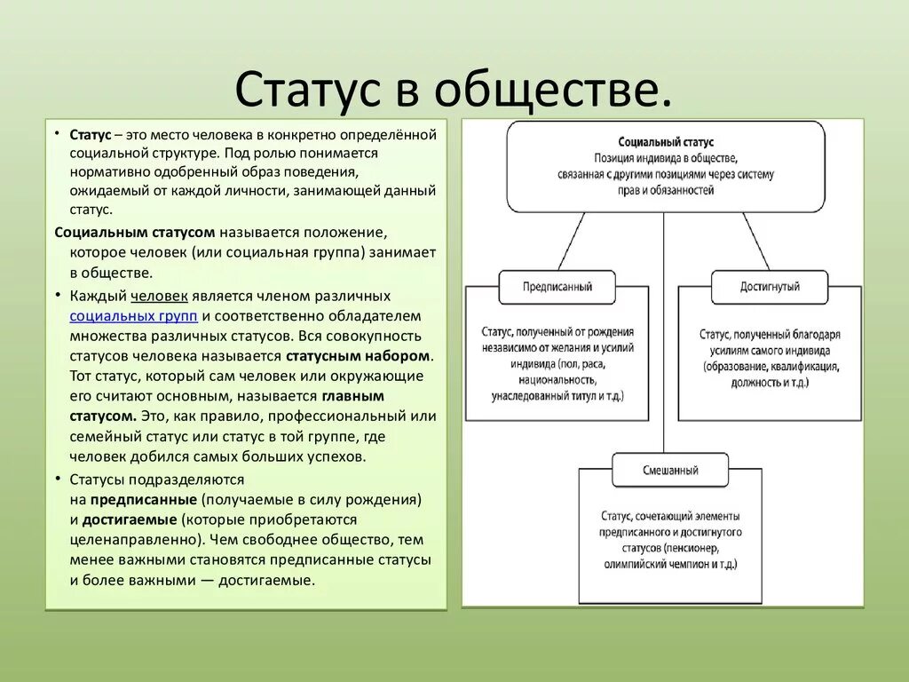 Обязанности статусов