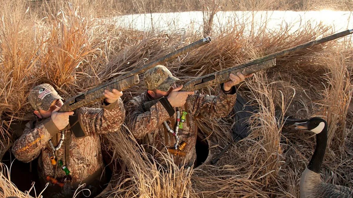 охота руками